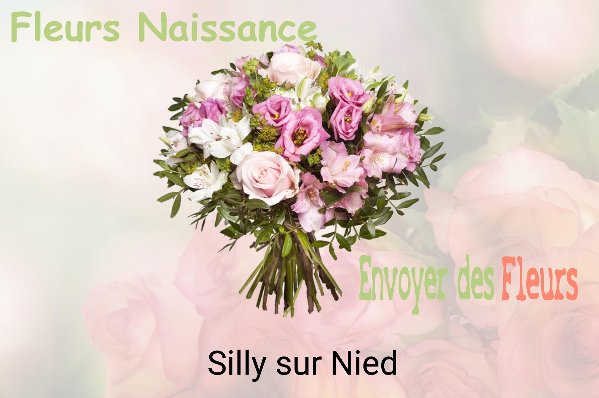 Bouquet de fleurs de naissance livré à Silly-sur-Nied