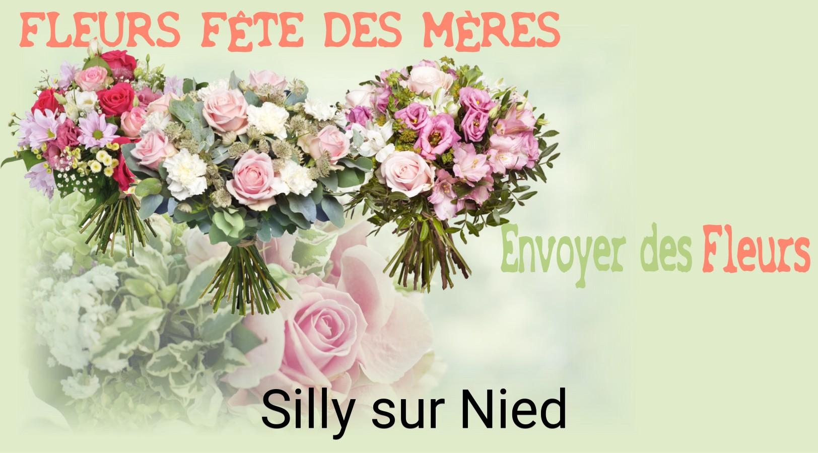 Bouquet de Fête des Mères livré à Silly-sur-Nied